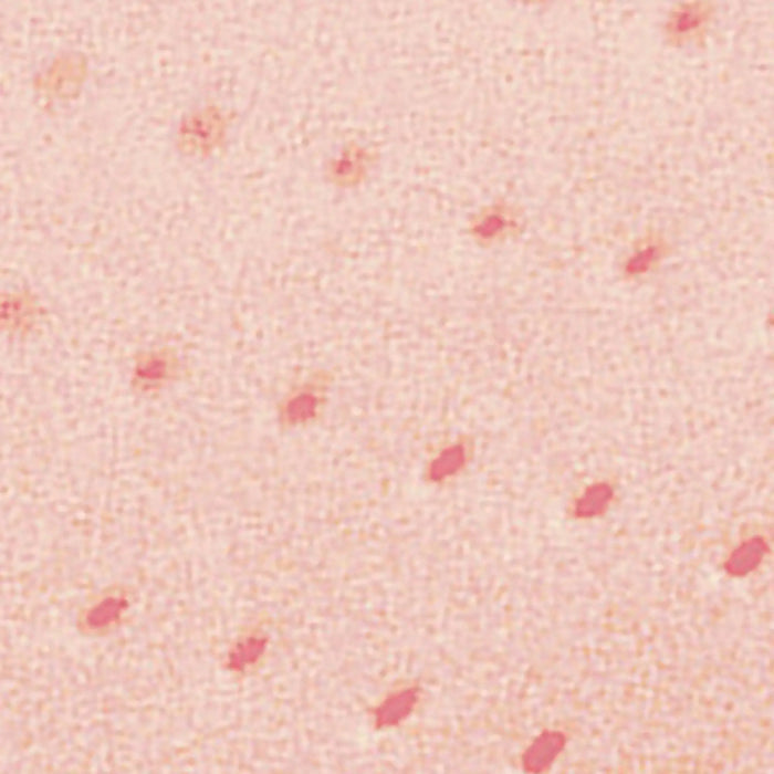 My Plastazine perforated - Plastazine foam - Shore 14 - 3 mm - My Podologie