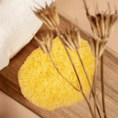 Natural sponge - Peclavus Peclavus